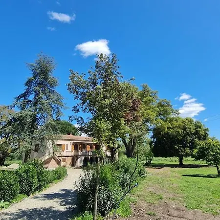Maison - D'hotes Holiday home Prunelli-di-Fiumorbo