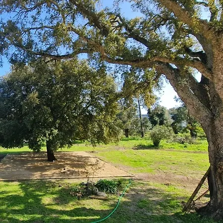 Semesterbostad Maison - D'hotes